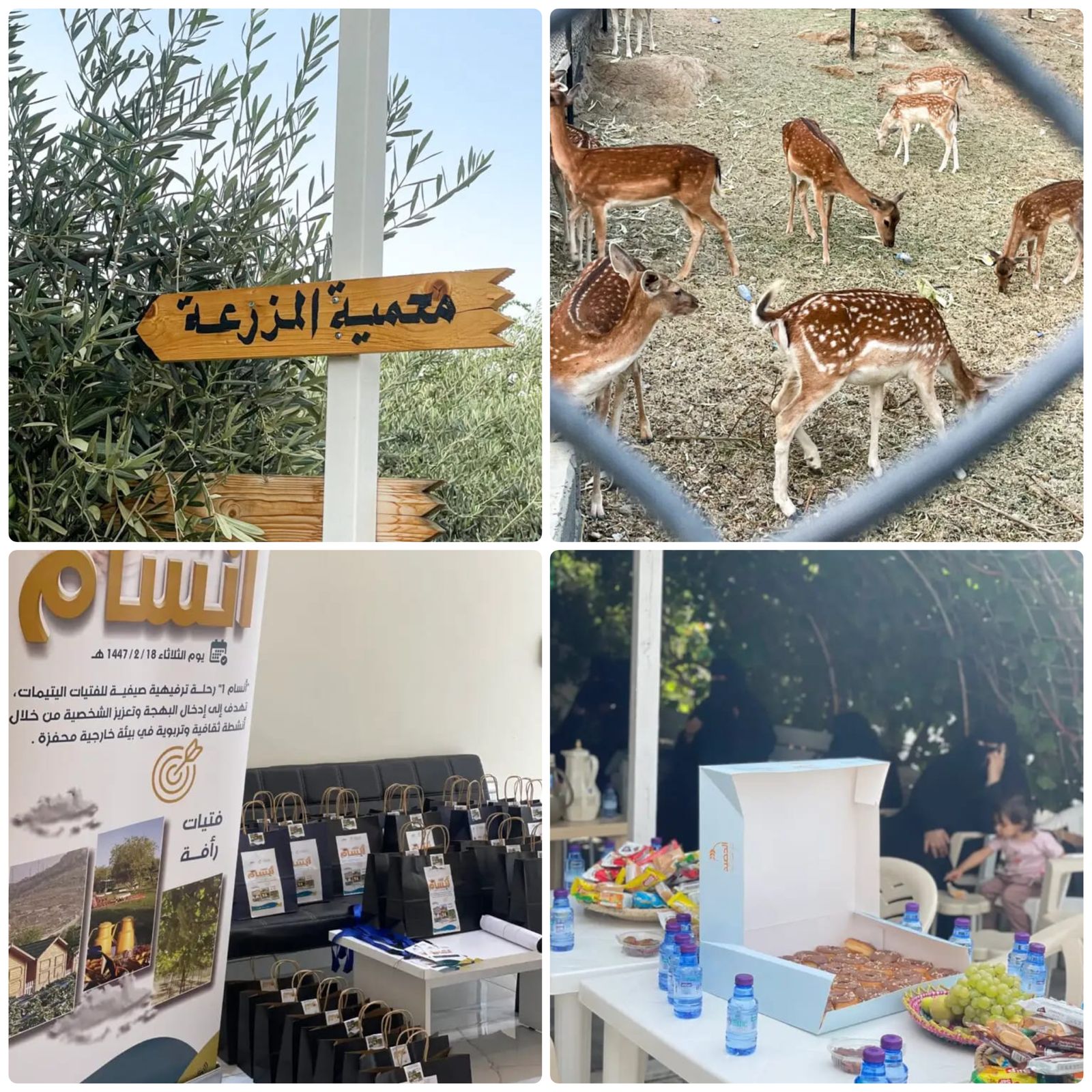 رحلة صيفية.. نادي مآثر بجمعية رأفة ينظم "برنامج أنسام 1" لفتيات الجمعية 1 0 140