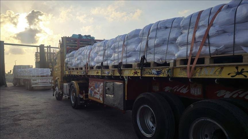 إدخال 115 شاحنة مساعدات إنسانية وإغاثية إلى قطاع غزة 1 0 158