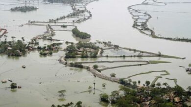 أمطار وفيضانات تُغرق قرى بأكملها في ولاية راجستان الهندية 3 0 168