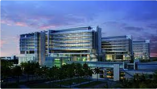 جراحة دقيقة ومرتقبة: عملية فصل التوأم السعودي "يارا ولارا" تنطلق غدًا في الرياض 1 0 260