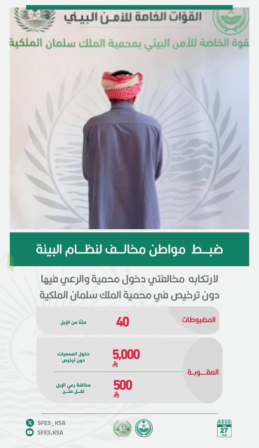 ضبط مخالفًا لنظام البيئة دخل محمية ورعي فيها 40 متنًا من الإبل في مواقع محظورة 1 0 2862