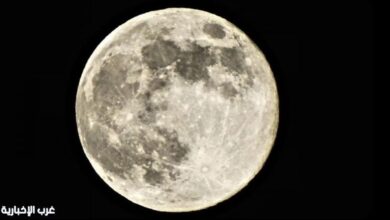 قمر الذيب العملاق يزين سماء السعودية.. وأفضل أوقات المشاهدة مساء اليوم 2 0 2956