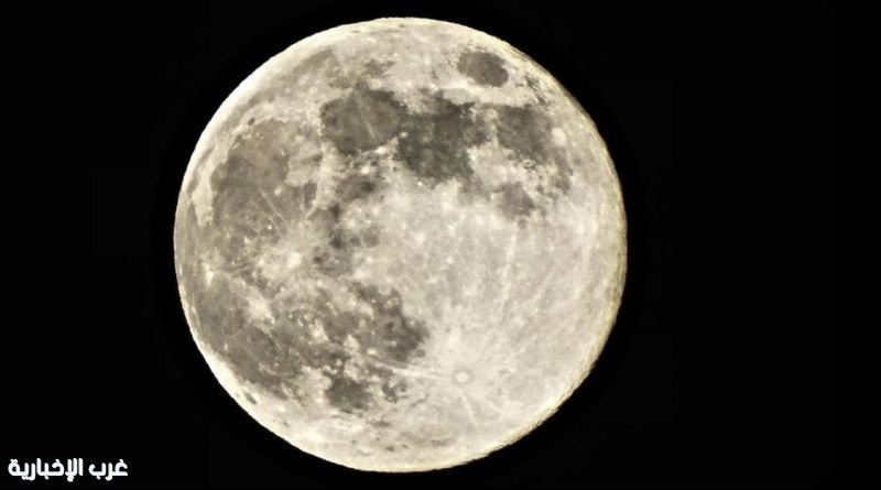 قمر الذيب العملاق يزين سماء السعودية.. وأفضل أوقات المشاهدة مساء اليوم 1 0 2956