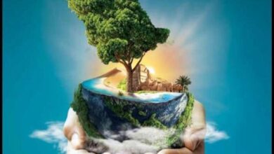 كتاب يوثّق تجربة السعودية في تكامل الاقتصاد الأخضر والإدارة البيئية ضمن مستهدفات رؤية 2030 2 0 2966