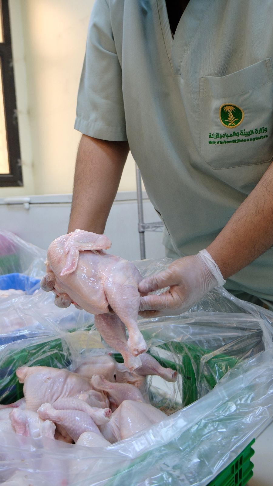 حمايةً للمستهلك.. "بيئة الرياض" تُتلف 4.2 طن دواجن مجهولة وتغلق مسالخ عشوائية 1 0 2973