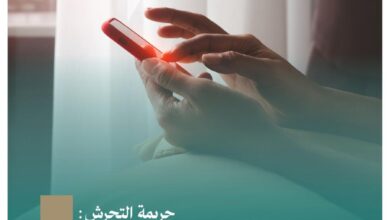 النيابة العامة تحذّر من جريمة التحرّش الإلكتروني 9 0 2975