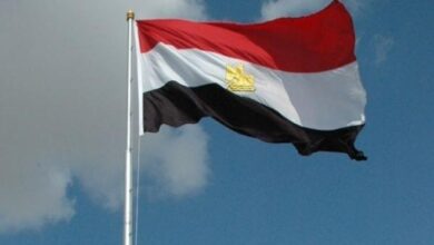 رسمياً.. القاهرة تنضم لـ "مجلس السلام" استجابة لدعوة ترامب وتؤكد: غزة ركيزة استقرار المنطقة 3 0 3030