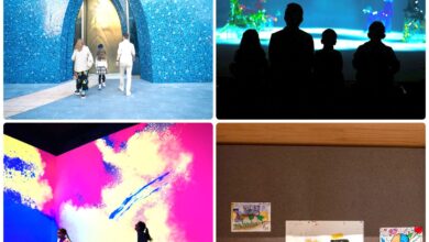 بمناسبة اليوم الدولي للتعليم: متحف "لوح وقلم"، التابع لمؤسسة قطر، يثري تجربة التعلّم خارج الصفوف الدراسية 4 0 3033