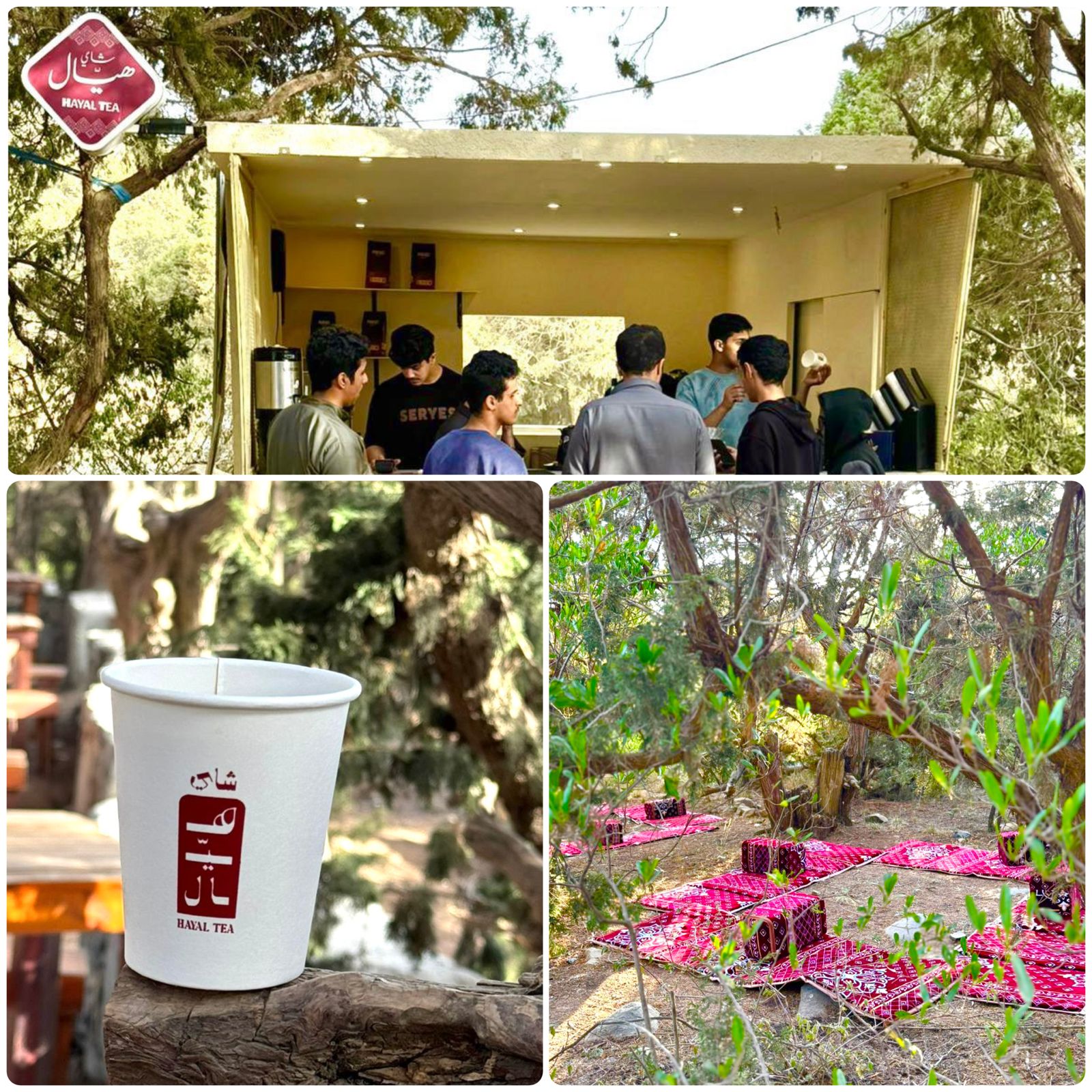 هيّال بين استثمار الوقت والاعتزاز بالقيم في منتزهات الشعف 1 0 75