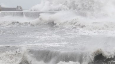 العاصفة “ويبا” تهدد هونج كونج.. أعلى مستوى تحذير 3 0 78