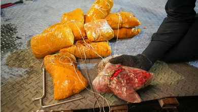 "الزكاة والضريبة والجمارك" تُحبط تهريب 817 ألف حبة محظورة في منفذ البطحاء 6 0000 29