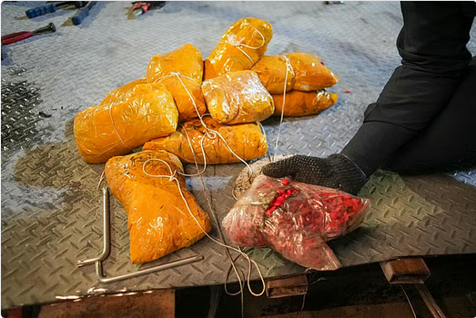 "الزكاة والضريبة والجمارك" تُحبط تهريب 817 ألف حبة محظورة في منفذ البطحاء 1 0000 29