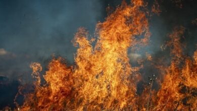 حريق هائل يلتهم مجمعاً صناعياً في فرايبورج.. والخسائر التقديرية تصل إلى 75 مليون يورو 6 1 131