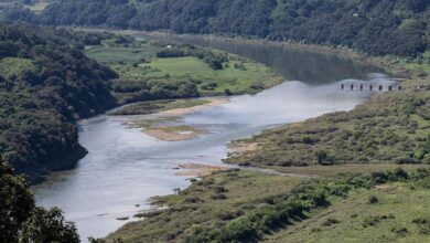 تصعيد جديد: كوريا الشمالية تُطلق مياه سد حدودي دون تنسيق وتدفع كوريا الجنوبية لإجلاء فوري 3 1 162