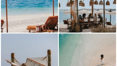 إطلاق كيب موريس: الجزيرة الساحلية الخاصة في الخليج العربي بإدارة برج العرب، أيقونة جميرا 5 1 229