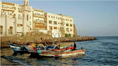 غرق قارب مهاجرين قبالة سواحل اليمن يودي بحياة 54 شخصًا وفقدان العشرات 6 1 273
