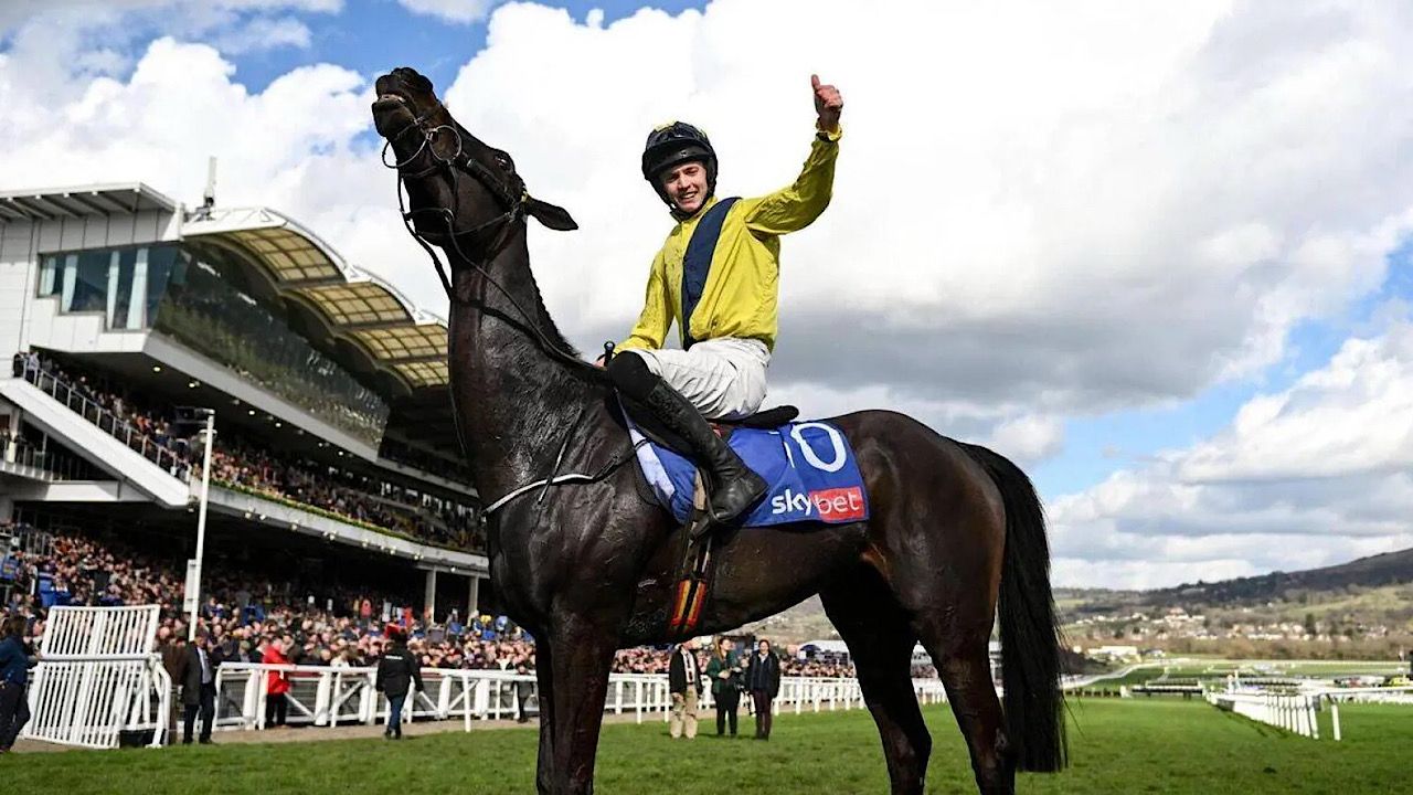 وفاة فارس بعد سقوطه في سباق خيول 1 1 3083