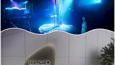 تيم لاب فينومينا أبوظبي" يكشف عن تجربتين جديدتين ضمن مجموعة أعماله الفنية 13 1 311