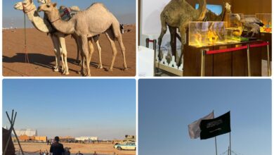 جناح إمارة الباحة يثري تجربة زوار مهرجان الملك عبدالعزيز للإبل 2 1 317