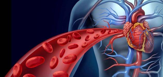 د. خالد النمر يصحح مفاهيم مغلوطة: الرياضة "وقاية" وليست حصانة مطلقة ضد أمراض القلب 1 1 324