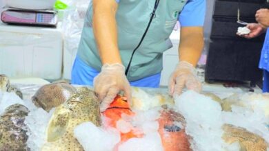 مخالفات في أسواق الأسماك بجدة واتلاف أكثر من طن أسماك 16 1 327