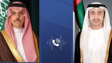 وزير الخارجية ونظيره الإماراتي يبحثان الموضوعات المشتركة 6 1 3749