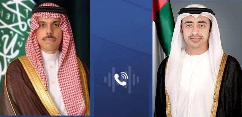 وزير الخارجية ونظيره الإماراتي يبحثان الموضوعات المشتركة 1 1 3749