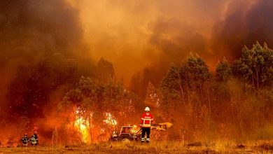 البرتغال تفعّل الآلية الأوروبية بعد تفاقم حرائق الغابات 5 1 3750