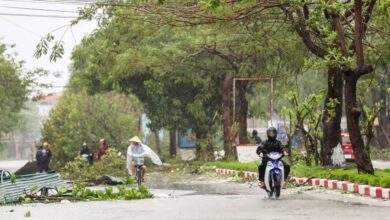 مصرع 19 شخصًا نتيجة إعصار "بوالوي" في فيتنام 2 1 3786
