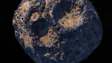 كويكب صغير يعبر بالقرب من الأرض 5 1 3907