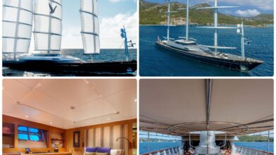 جميرا توسّع آفاق فئة "جميرا بريفيه" بإطلاق تجربة "ذا مالتيز فالكون" البحرية 11 1 3978