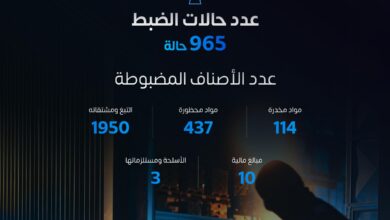 المنافذ الجمركية" تسجل 965 حالة ضبط خلال أسبوع 5 1 4019