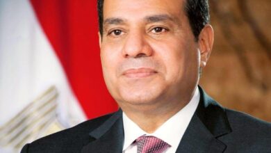 الرئيس السيسي: أمن الخليج جزء لا يتجزأ من الأمن القومي المصري 4 1 4045