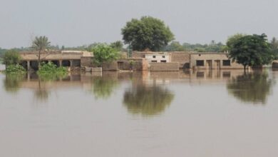 باكستان تحذر من موجة أمطار موسمية جديدة وفيضانات محتملة 3 1 74