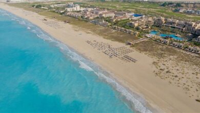 جزيرة السعديات أبوظبي الوجهة الأمثل للاحتفال باليوم الوطني السعودي على شواطئ الخليج العربي الساحرة 5 1 86