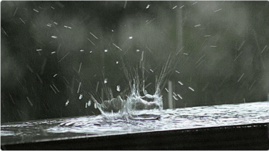 أمطار رعدية على 3 مناطق ورياح نشطة.. "الأرصاد" يكشف حالة الطقس اليوم 5 10 102