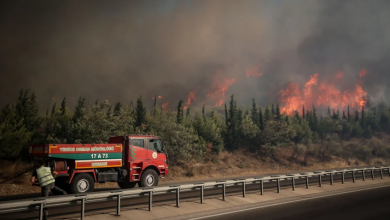 تركيا تُكافح حرائق الغابات: السيطرة على 45 حريقًا وتكثيف الجهود لإخماد البقية 2 10 83