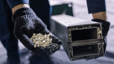 إحباط محاولة تهريب أكثر من 94 ألف قرص إمفيتامين في تبوك 5 10 88