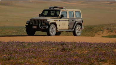 "الأمن البيئي" يضبط مخالفين في محمية الإمام فيصل بن تركي ويصادر أسلحة وذخائر 4 11 113