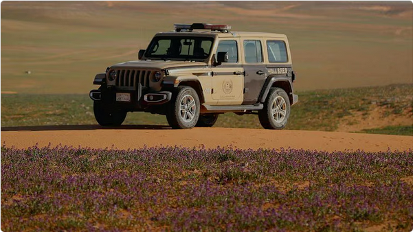 "الأمن البيئي" يضبط مخالفين في محمية الإمام فيصل بن تركي ويصادر أسلحة وذخائر 1 11 113