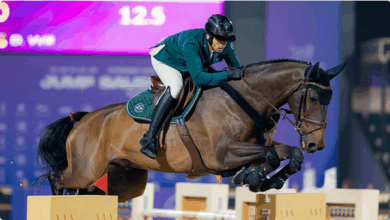 بجوائز مليونية.. "قفز السعودية" تدخل أسبوع الحسم في الجنادرية 10 11 114