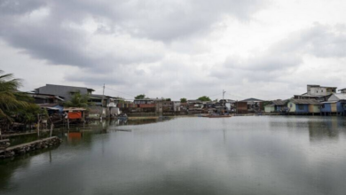 انهيار أرضي في جاوة الغربية يخلف 7 قتلى وعشرات المفقودين 3 17 2 1