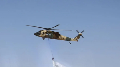 الأردن يساند سوريا في إخماد حرائق الغابات بطائرات ومعدات متخصصة 4 17517029801 1