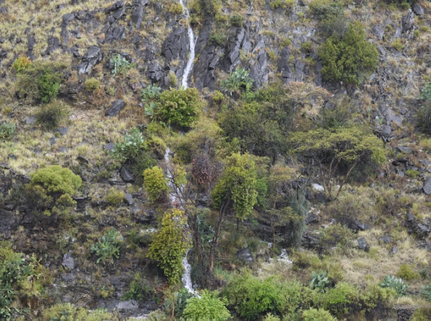 أمطار عسير تجذب قوافل المصطافين إلى متنزهاتها 1 17517029801 11