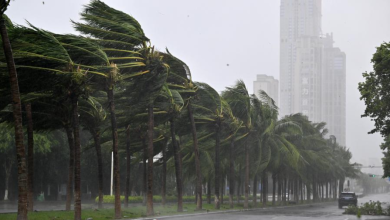الصين تستنفر لمواجهة إعصار ويفا: إجلاء مئات الآلاف وإلغاء رحلات جوية وبرية 4 17517029801 6