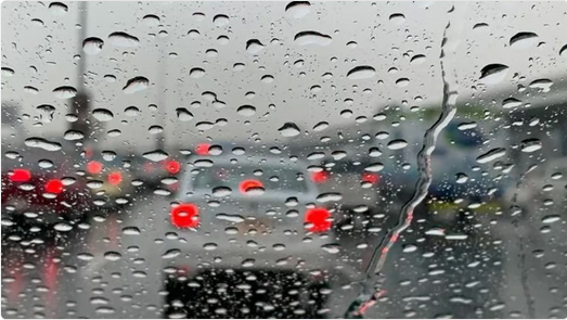 "البيئة": بيشة تسجل أعلى هطول للأمطار بـ27.6 ملم ضمن أمطار متفرقة على 6 مناطق 1 2 256