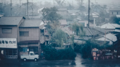 إعصار يضرب جزيرة هوكايدو اليابانية للمرة الأولى منذ 2016 5 2 262