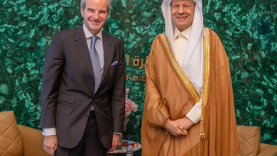 وزير الطاقة يناقش مع غروسي برنامج الطاقة الذرية 4 2 263