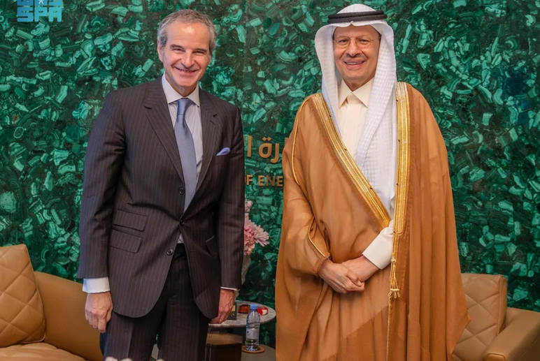 وزير الطاقة يناقش مع غروسي برنامج الطاقة الذرية 1 2 263