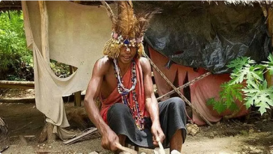 سحر الانتخابات في أوغندا: مرشحون يتسابقون على "المعالجين" لكسب الأصوات 3 2 266